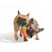 Bark Habanero Pupper Dog Toy