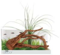 Fluval Decor Mopani Wood