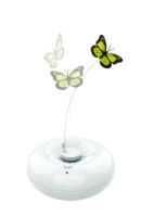 MPETS CRAZY Butterfly White