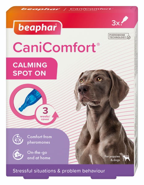 69397