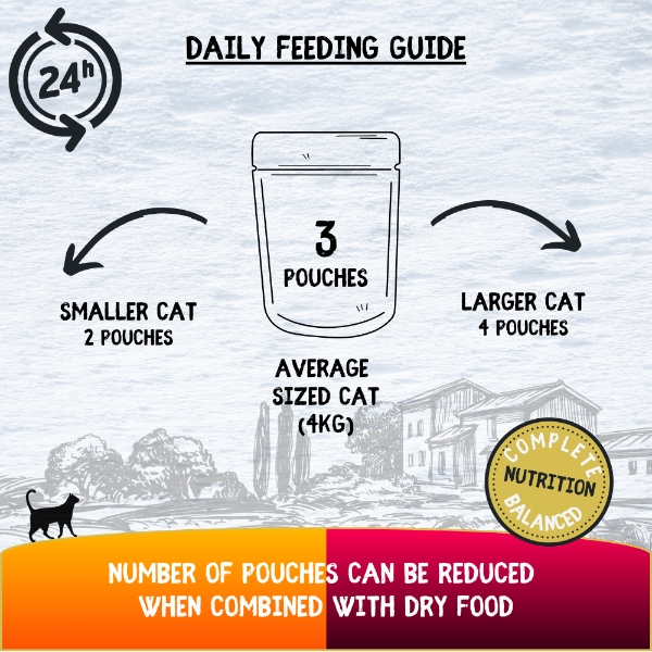 COOKHOUSE Luxury Cat Food - Fillets in Jelly - Chicken with Beef 6 x70g