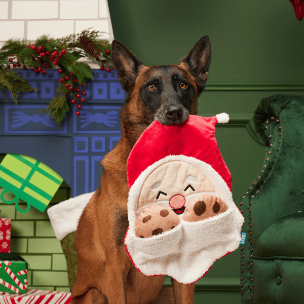 BARK Xmas Kris Krumble