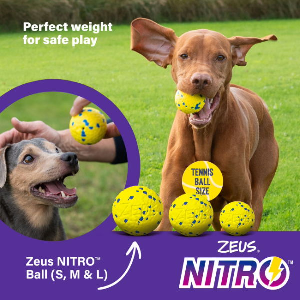 Zeus Nitro Weighted Ball Medium 6.3cm dia