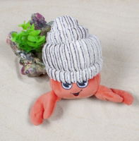 Ministry Of Pets Hank The Hermit Crab