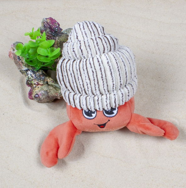 Ministry Of Pets Hank The Hermit Crab