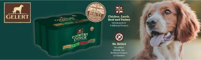P7 Gelert Web Banner