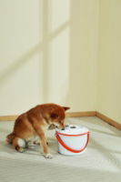 M-PETS Vacuufresh Vacuum Food Storage Container - 7.5 L