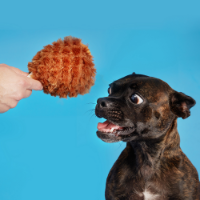 Bark Tavern Turkey Leg Dog Toy