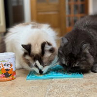 Lickeez Chicken Enrichment Spread Mix for Cats 120g