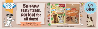 P7 GoodBoy Web Banner 