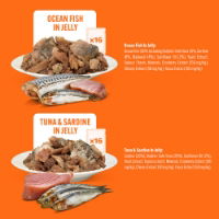 Hilife Natural Cat Pch The Big Fishy One In Jelly 32x70g