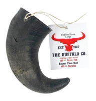 Buffalo Horn-Large