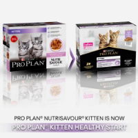 Pro Plan Cat Nutrisavour Jnr With Turkey In Gravy 10x85g