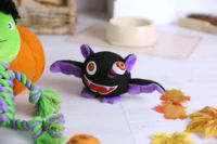 Plush Bat Toy