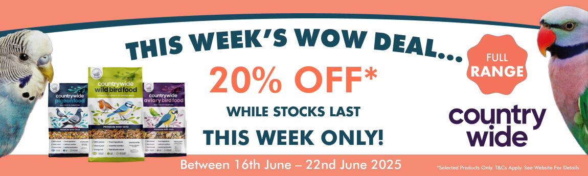 WOW Deal Week 25 Web Banner