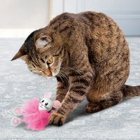 Kong Flingaroo Tutu Assorted