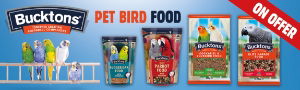 P5 Bucktons Vital Web Banner