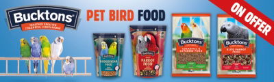P5 Bucktons Vital Web Banner