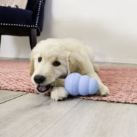 KONG Ziggies Enhanced Puppy Md/Lg 227g